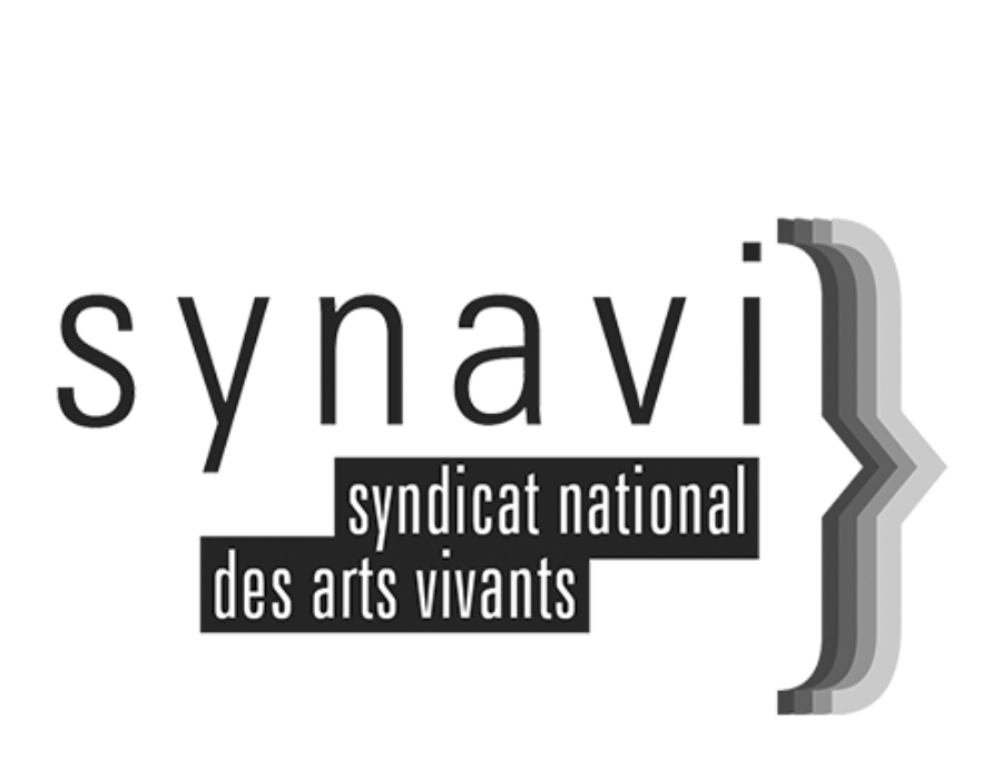 Logo Synavi